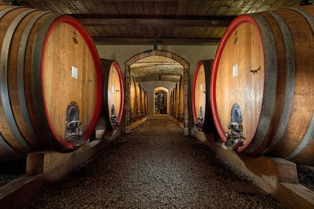 The Langhe: guided winery tour and wine tasting 1 Langhe wine tasting