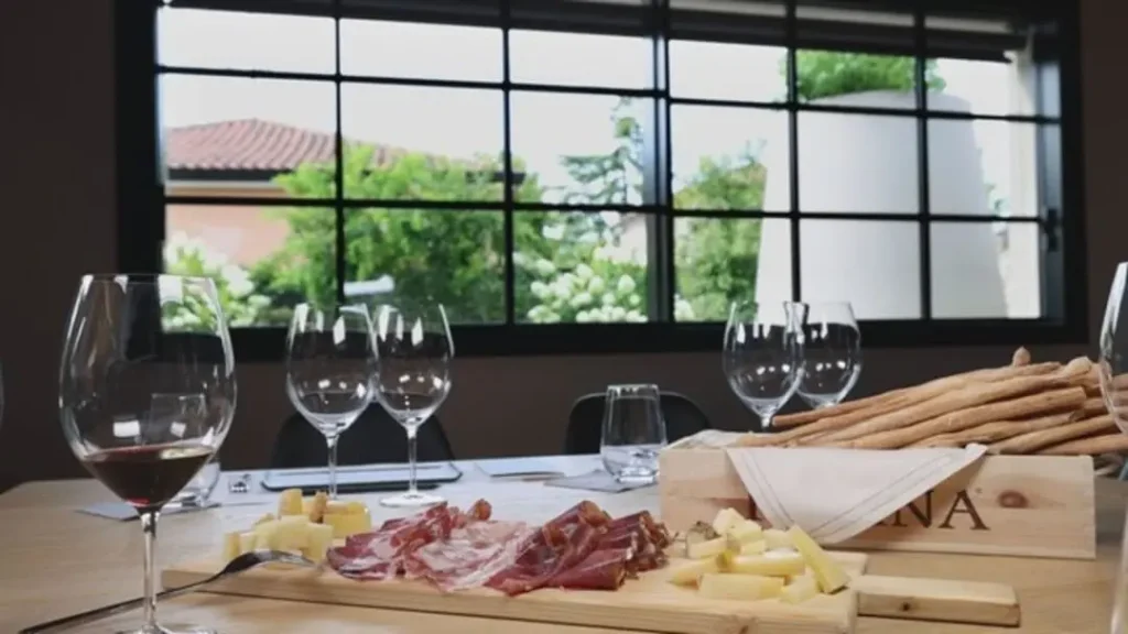 Valpolicella: private winery experience and wine tasting 1 Valpolicella wine private
