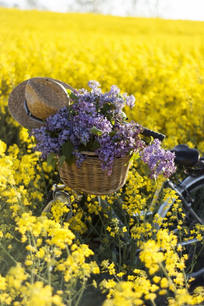 cosa fare a maggio