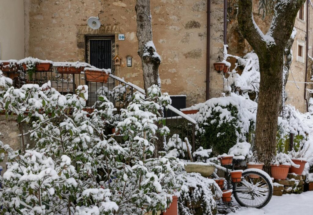 cosa fare a dicembre in italia