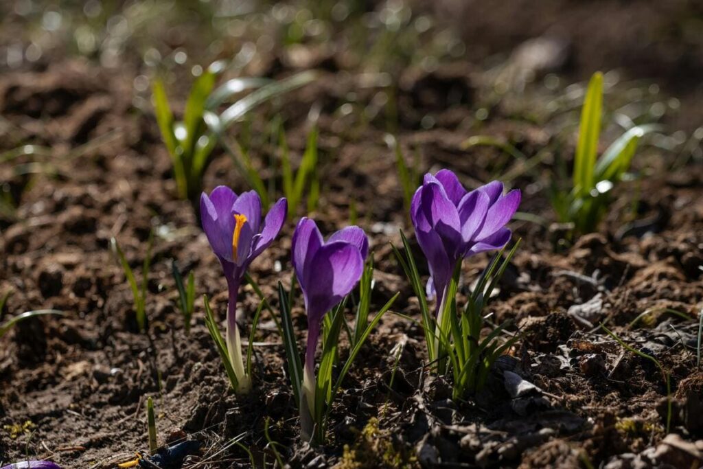 cosa fare a marzo