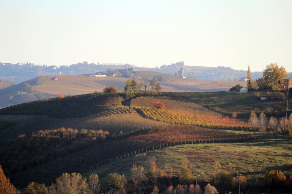 cosa vedere nelle langhe